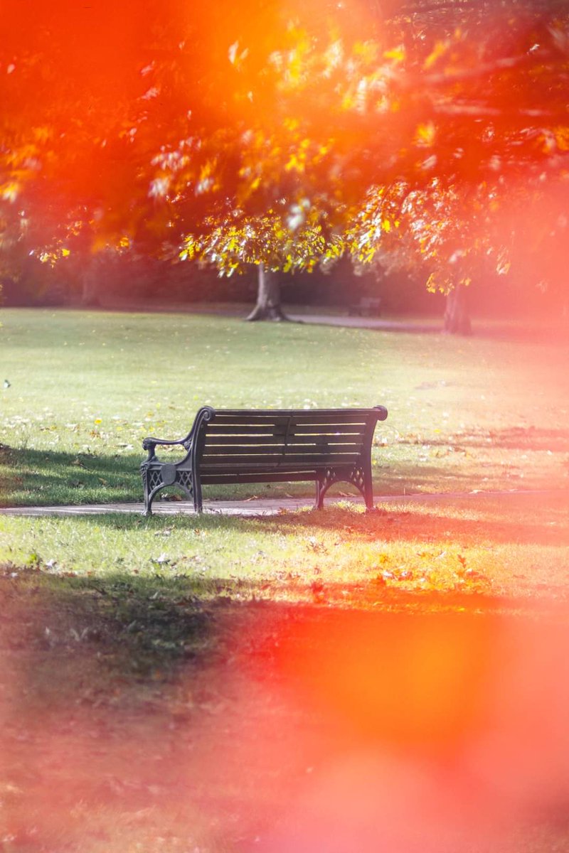 Shutter__Girl_'s tweet photo. 🍁 https://t.co/bkE9Ox481m