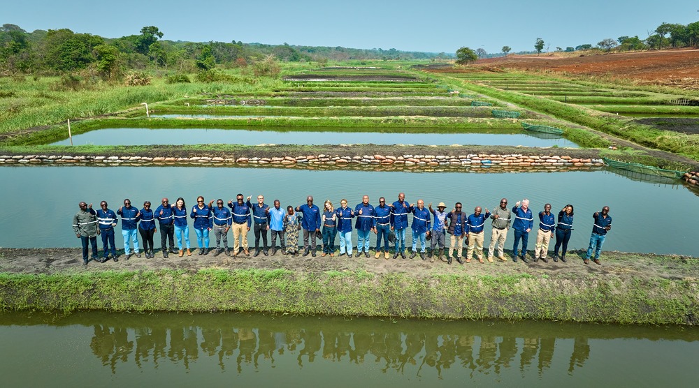 Legrand Matande tweet media