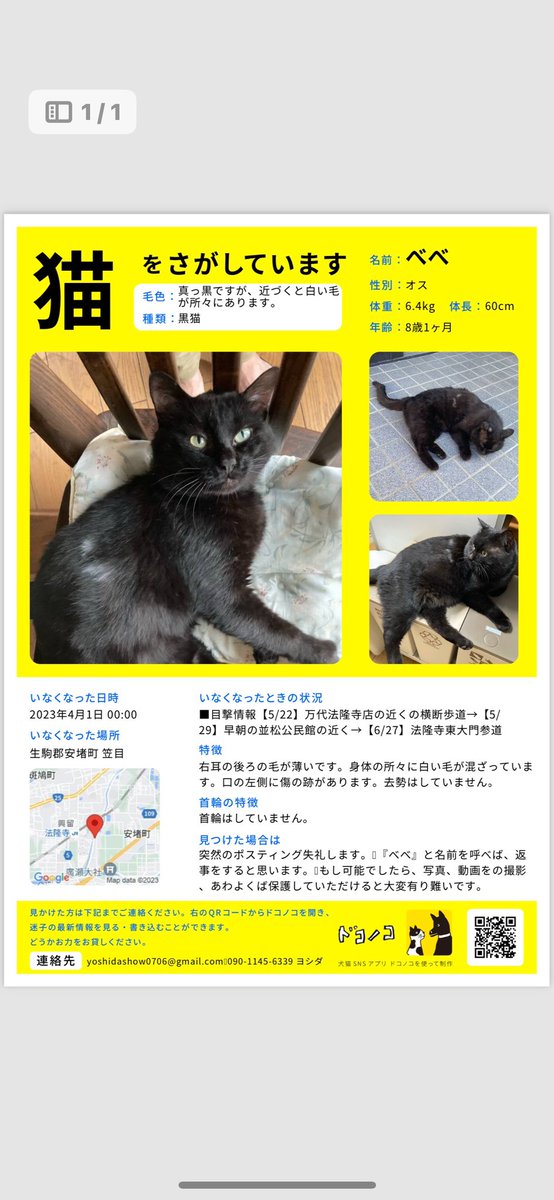 bebe_yoshida's tweet photo. 我が家の愛猫を探してます！
些細な情報で良いので、お見かけの際はご一報いただきた���です！ご協力よろしくお願いいたします！
名前:べべ　性別:オス　年齢:9歳
身体の大きな黒猫です。背中に少し白い毛が混じっているのが特徴です。
#迷子猫  #迷い猫 #黒猫 #奈良県 #安堵町 #斑鳩町 https://t.co/KIG388jOY9