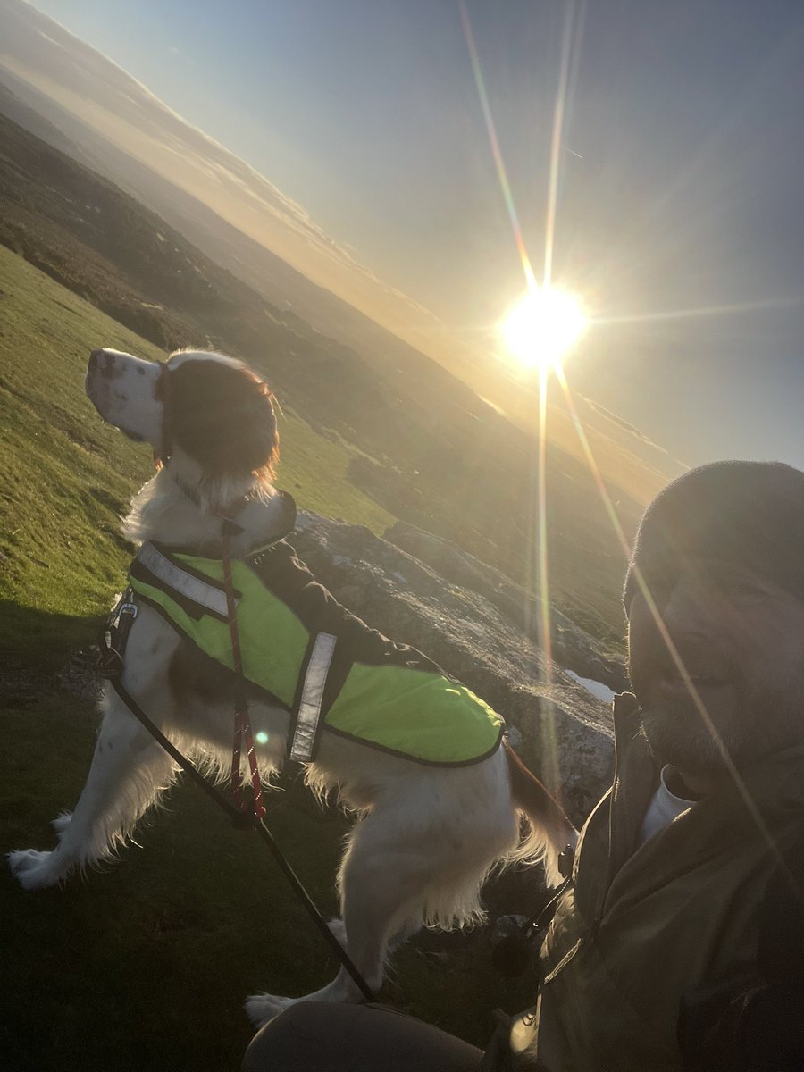 JaminbF's tweet photo. A nice walk along Templer Way Devon.

#dartmoor
#templerway 
#IRWS
#onemanandhisdog
#dog https://t.co/2m2X1sKRS9