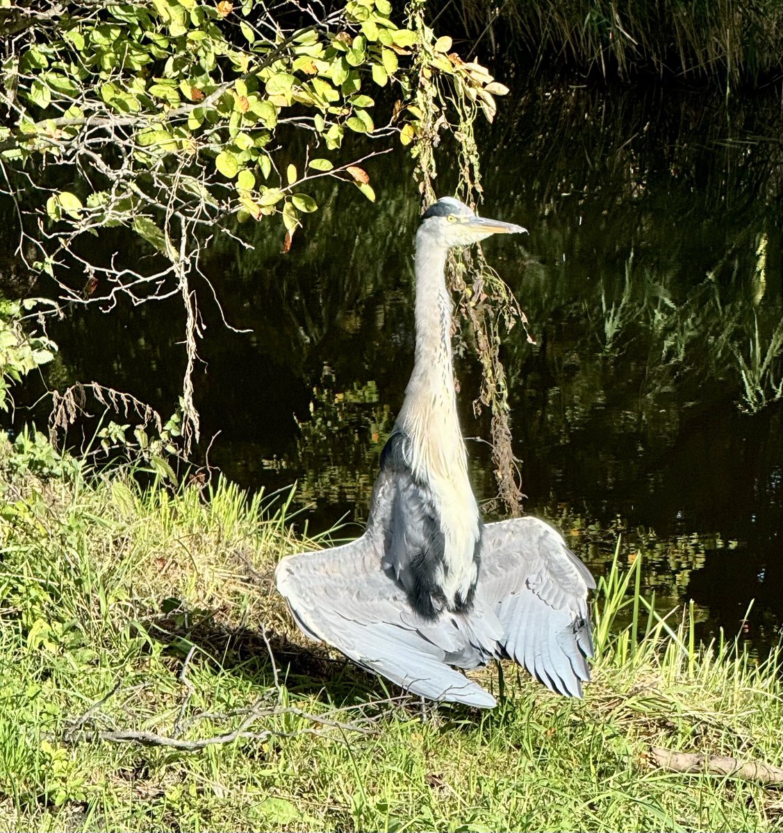 De zonnepanelen zijn uitgeklapt