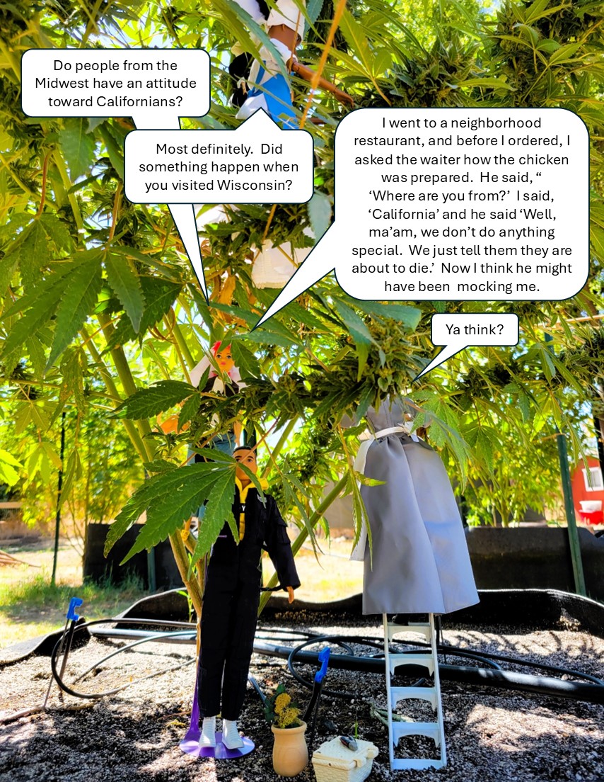 #California #midwest