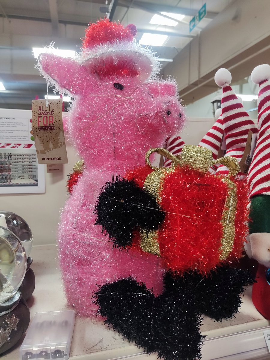 TheRealOneWag's tweet image. Lovely to see the shops stocking the @LoremenPod festive range so early