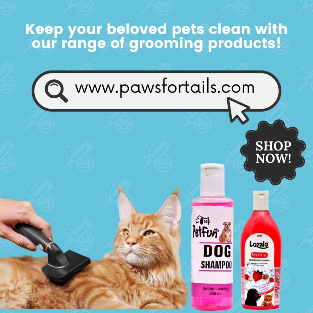 pawsfortailsind's tweet photo. Rabies is a preventable but deadly disease that affects both pets and humans.Let’s work together to eliminate rabies and keep our pets and communities safe! 🐾
#WorldRabiesDay #RabiesAwareness #PetHealth #StaySafe #PawsForTails #HealthyPets https://t.co/3PBk3ubk9O