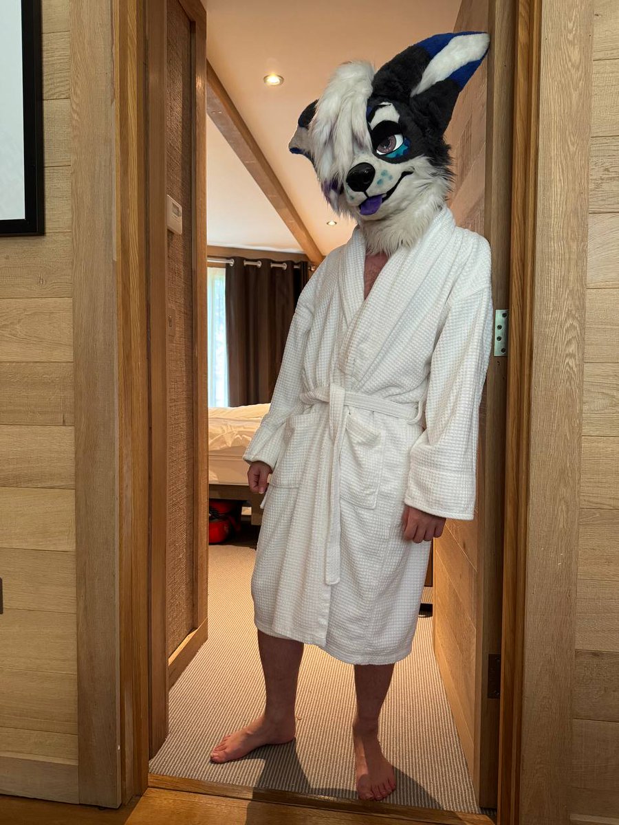 📀ＳＱＵＩＳＨ　ＨＯＵＮＤ📀 tweet media