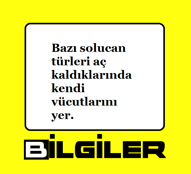Bilgilertr's tweet photo. bilgiler https://t.co/8pjOTtCFgC