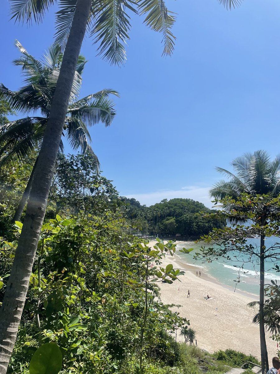 Ellie Williams tweet media