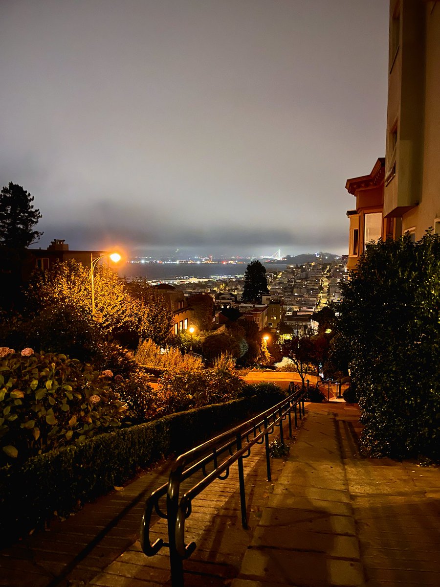 Tim Bush tweet media