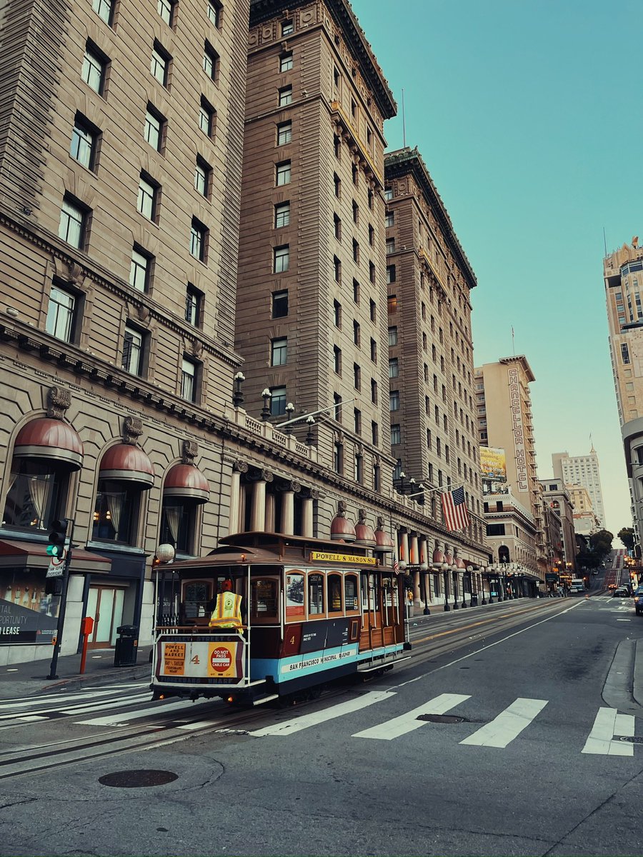 Tim Bush tweet media