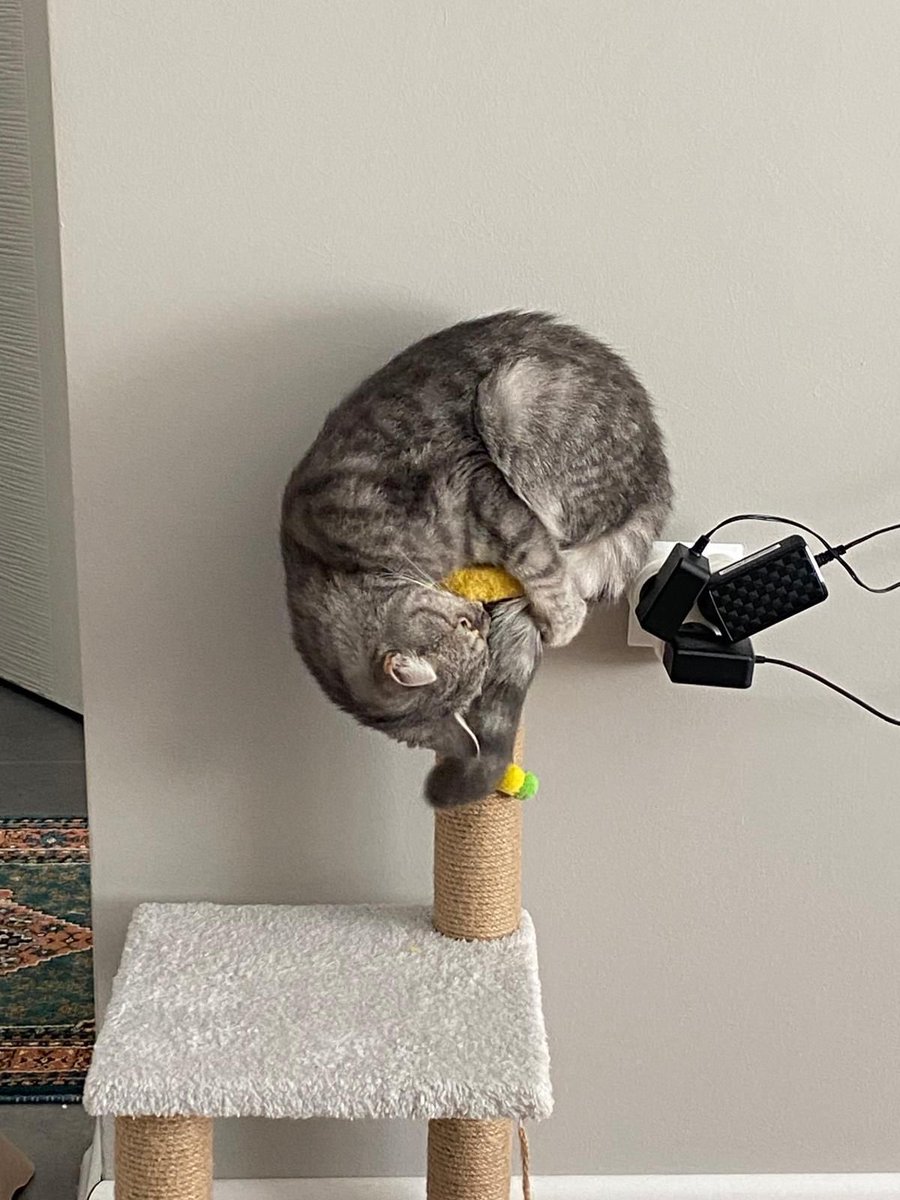 Kızımız bugün yogaya başladı 🥰