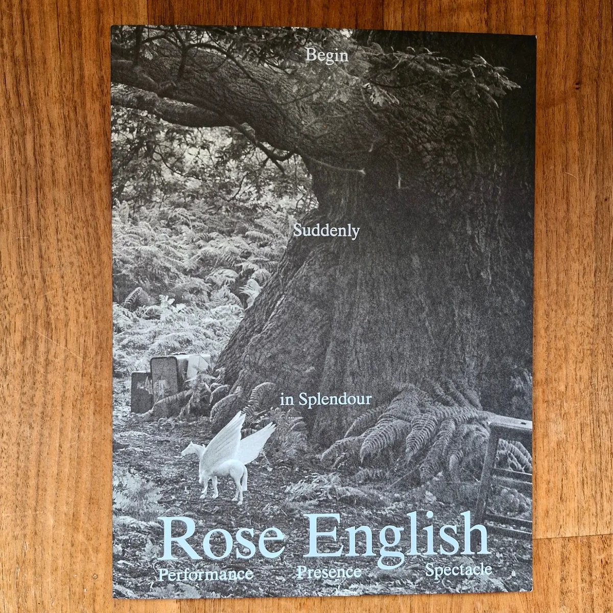 Dr. Lisa Moravec tweet media