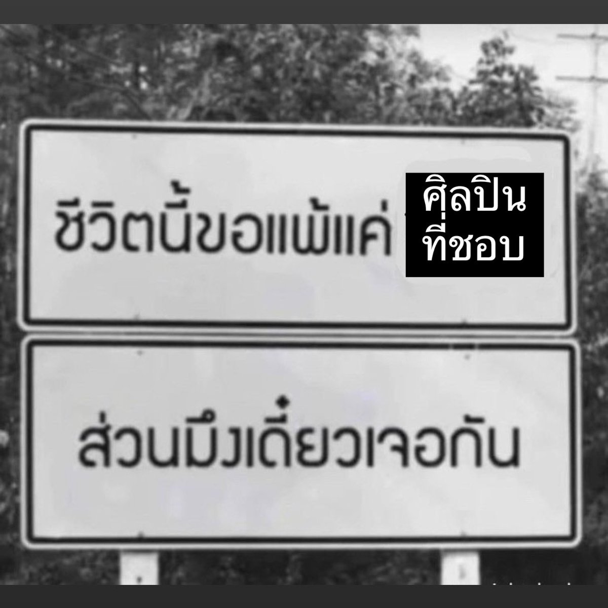 sutiฯ tweet media