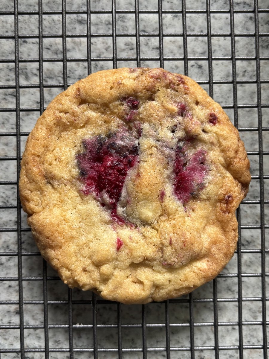 gracie ☆ tweet media