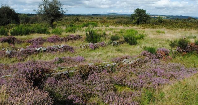 Denis Cheissoux tweet media