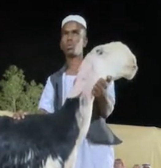 ericb0207 tweet media