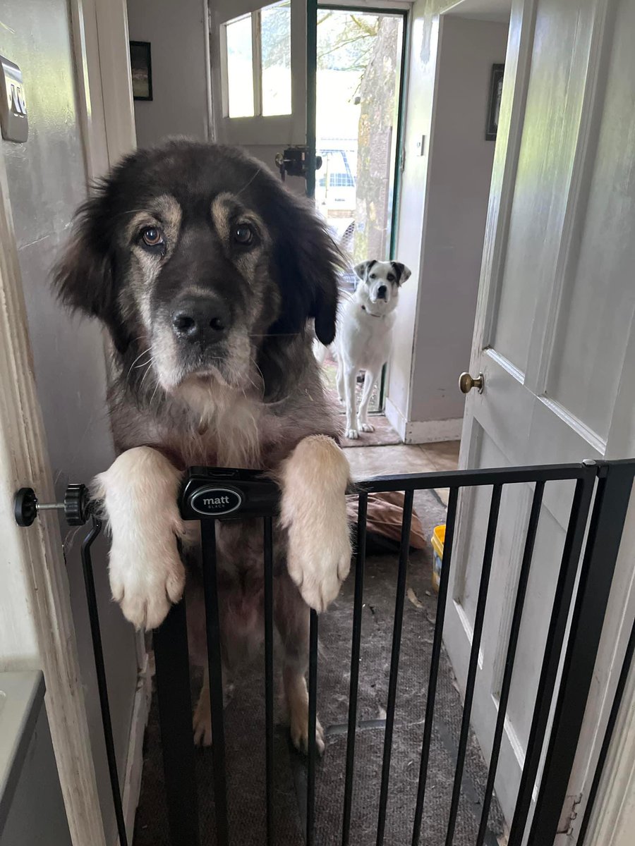 Adrian Tilsed tweet media