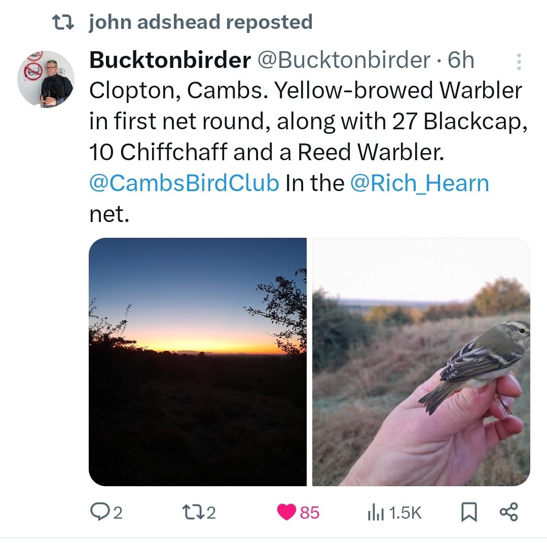 Alex Lees tweet media