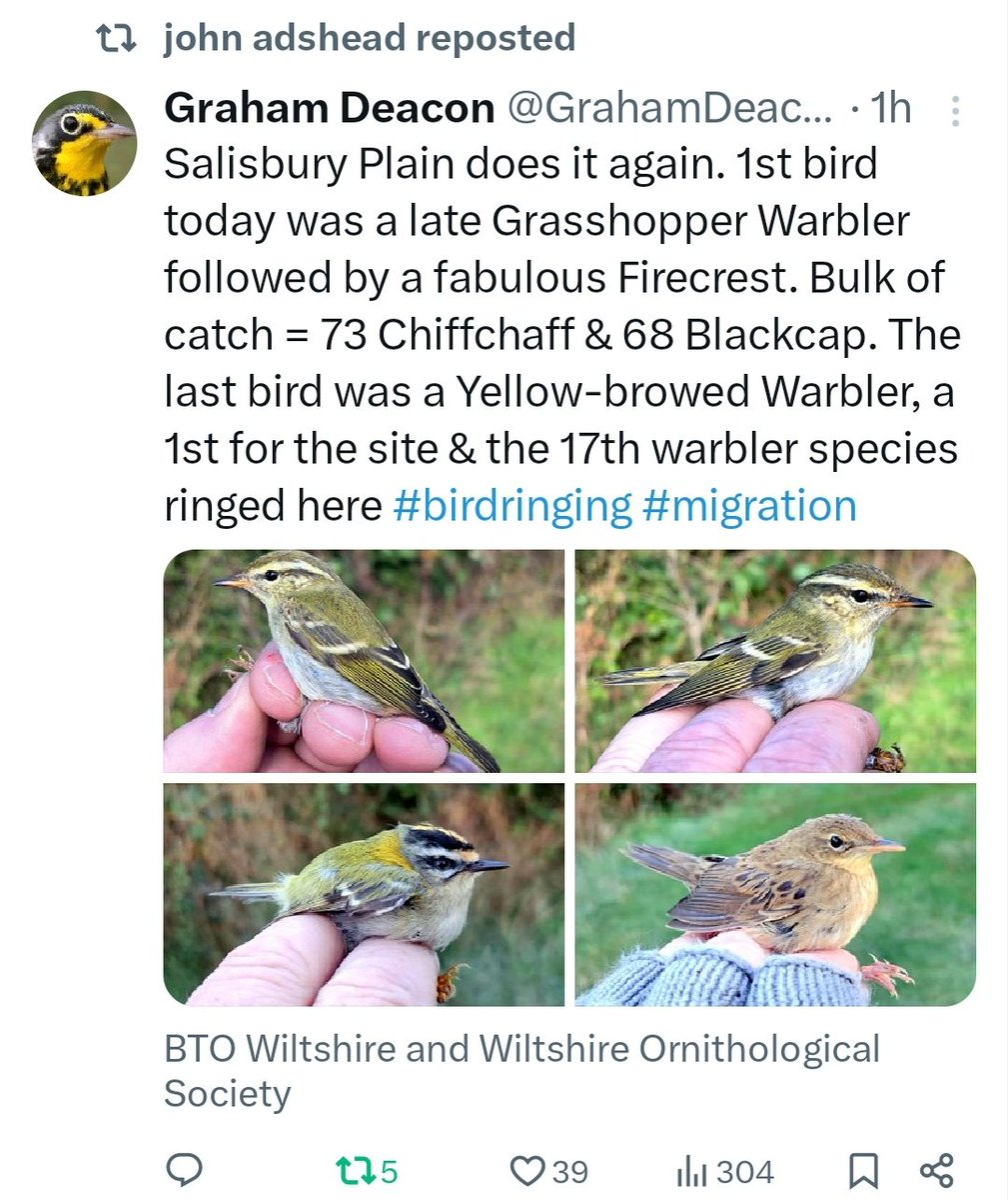 Alex Lees tweet media