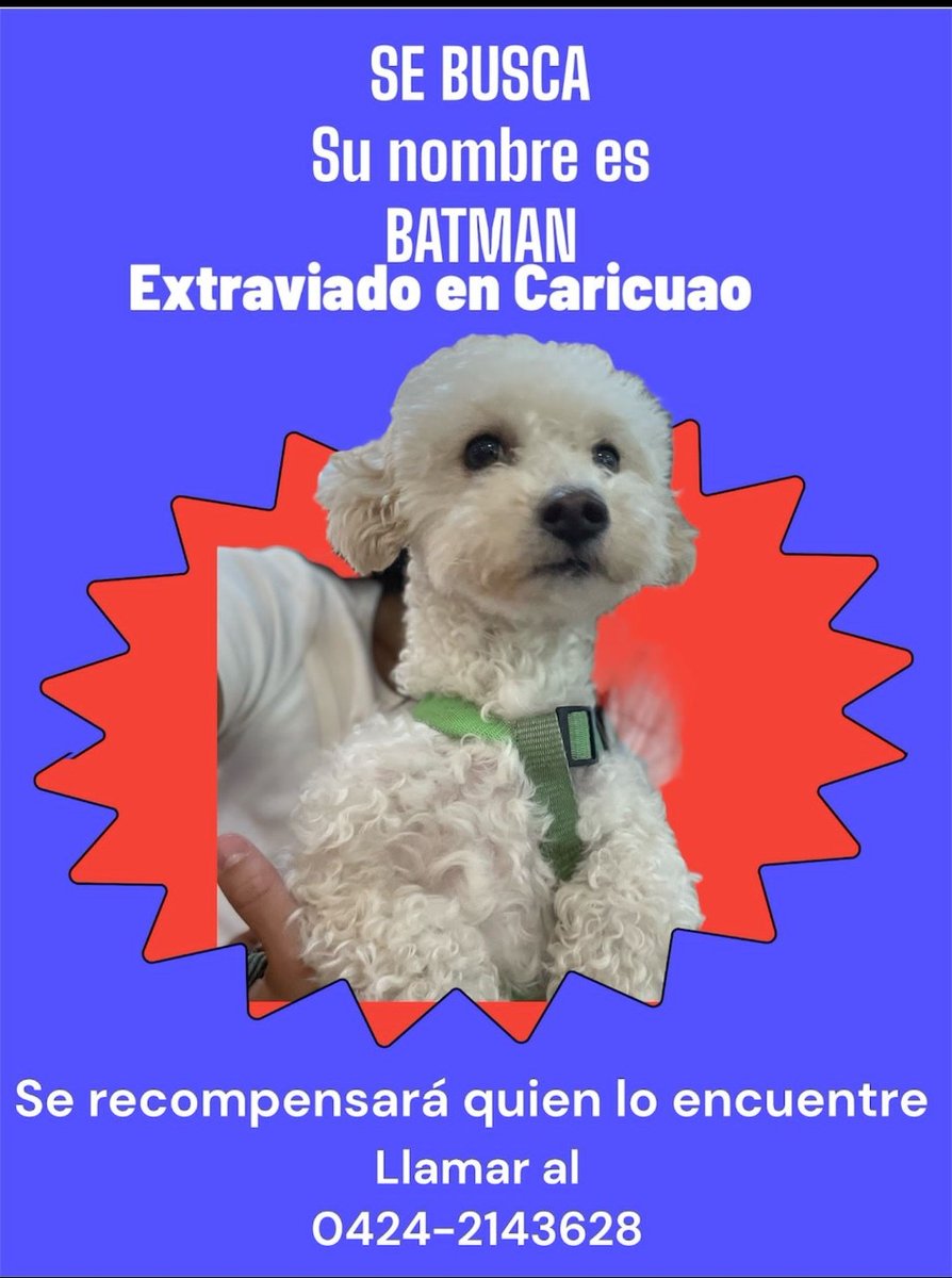 jpernalt's tweet photo. @PerroUsuario @PqElParaisoCcs @Caricuaoactivo @ElParaisoNow @SomosNevado @Caricuaoonline @Mary_Jar https://t.co/U8lnOkjEuH