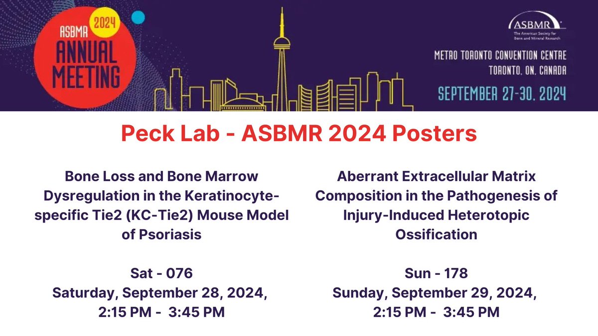 Tara Hickman (@ttt_hickman) on Twitter photo Come check out posters <a href="/SunHPeck/">Sun H. Peck</a> and I will be presenting at #ASBMR2024 on Sat and Sun! @VUMCBoneBio Come check out posters <a href="/SunHPeck/">Sun H. Peck</a> and I will be presenting at #ASBMR2024 on Sat and Sun! @VUMCBoneBio