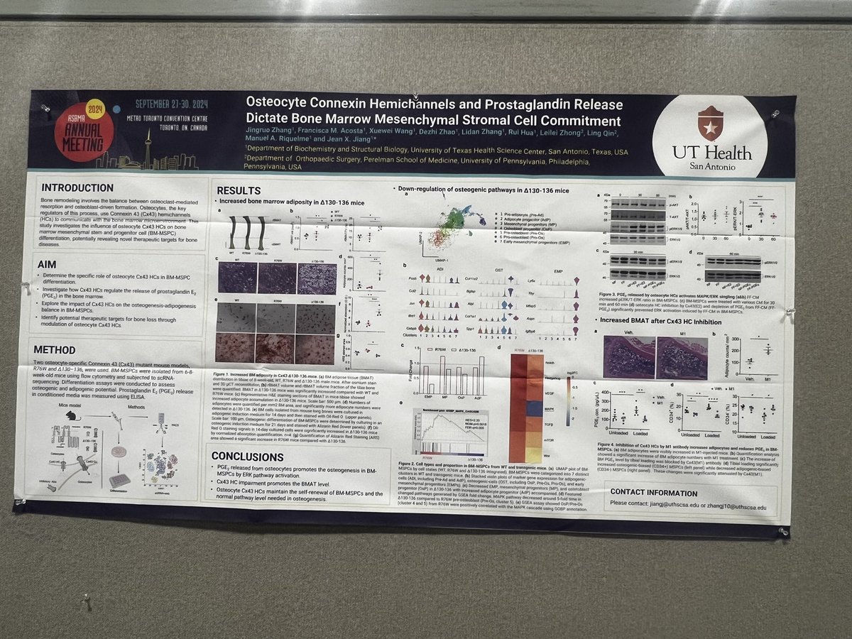 #ASBMR #ASBMR2024 Thanks to everyone who stopped by our plenary poster yesterday! We had the opportunity to engage with many incredible researchers. If you missed it, don’t worry! We will be presenting again today from 2:15–3:45 pm at Poster 505. We hope to see you there!
