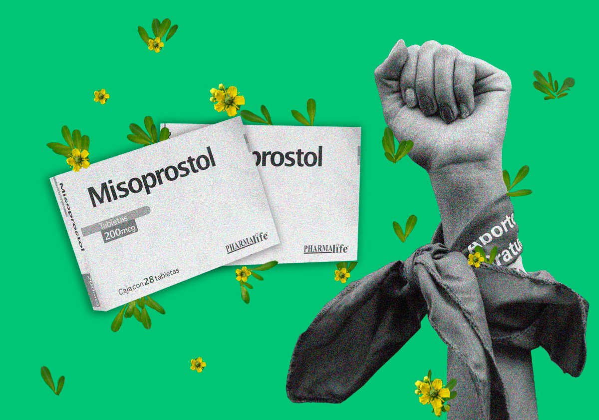 Hoy #28S es el Día de Acción Global por el acceso al #AbortoLegal y Seguro 💪🏽💚.

Abrimos 🧶 de contenidos para comprender las barreras de acceso, complejizar las conversaciones sobre aborto y acompañar a las personas trans y no binaries que abortan👇🏽

#HablemosDelAborto