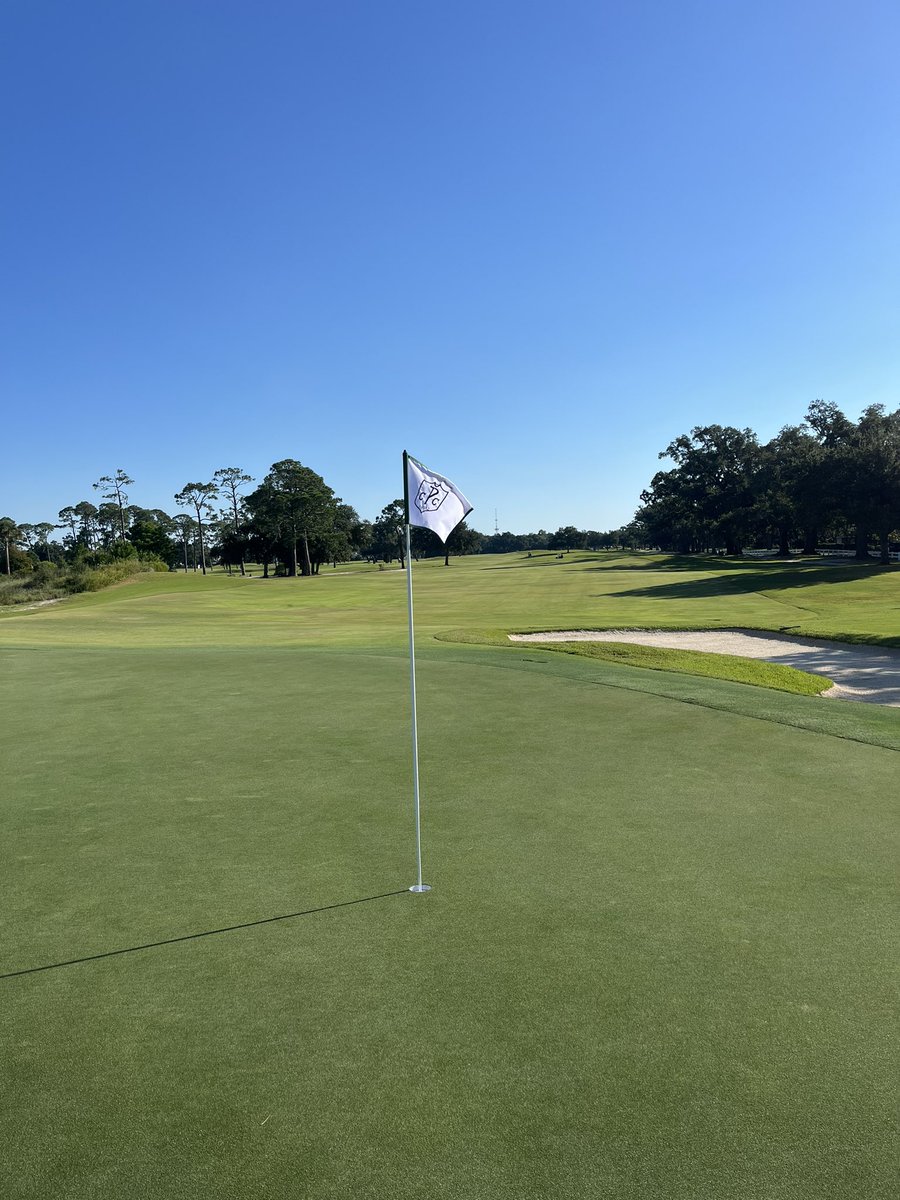 Chance Caylor tweet media