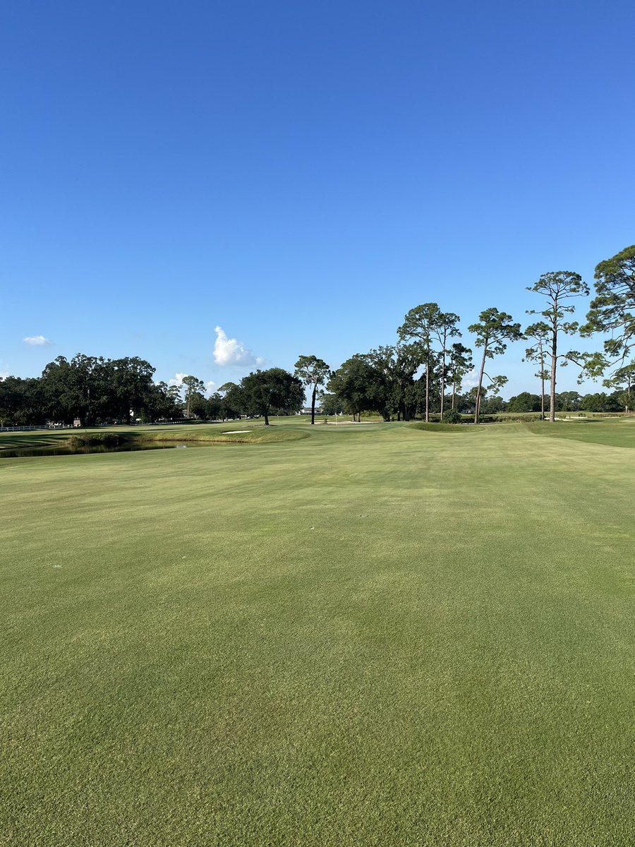 Chance Caylor tweet media