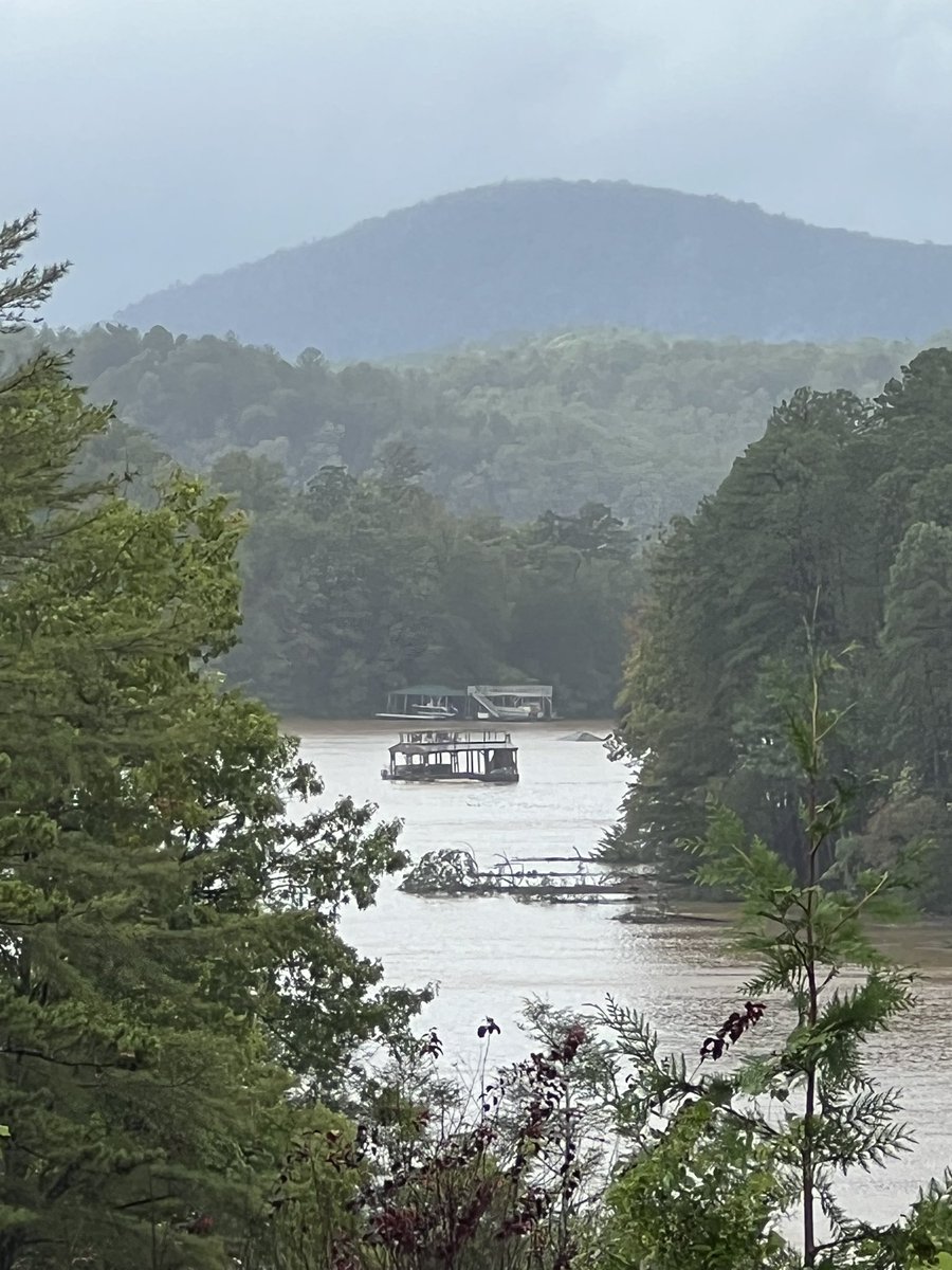 MichaelMish's tweet photo. @elonmusk Thank you for creating @Starlink. Helene destroyed the Asheville area, cell carriers are down and I never lost connection. https://t.co/64KT5sWaXb