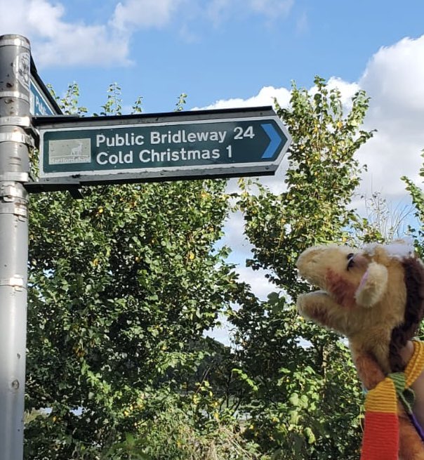 A brilliant day on a #Greatbigealkforherts, with great support from Harold and his friends, 1,000s of healthy steps in the September sun. Harold has found this sign and is already excited for winter! Thanks to <a href="/Helping_Herts/">helpingherts</a> for all that’s being done to support our work <a href="/CleEast/">CLE Essex & East Herts</a>