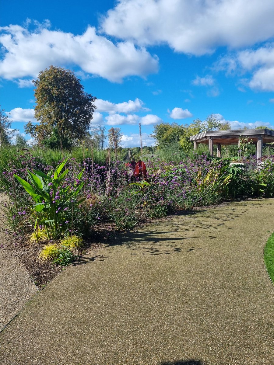 This week's involved school visits, and afternoon at the Lowry Hotel, trip to RHS bridgewater, time in the office, lovely meeting at Wilmott Dixon. Absolutely love making a difference for young people of GM in so many ways. #SEND #inclusion #GMCA #inspire #Careers #Transitions