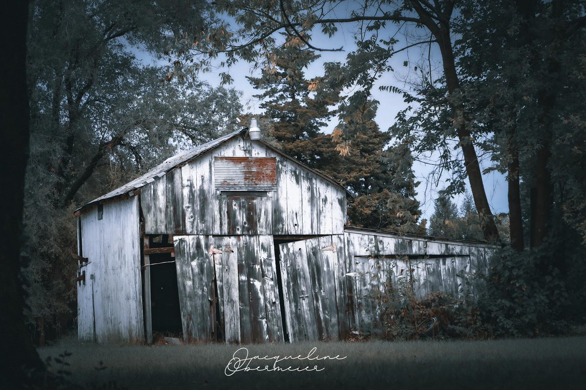 beautyaroundus_'s tweet image. Old White Barn

Old buildings like this are glimpses into the history and culture of an area.

#rustic #rusticart #rusticdecor #abandoned #oldbuildings #oldbuildinglover #wallart #walldecor 
#photography
