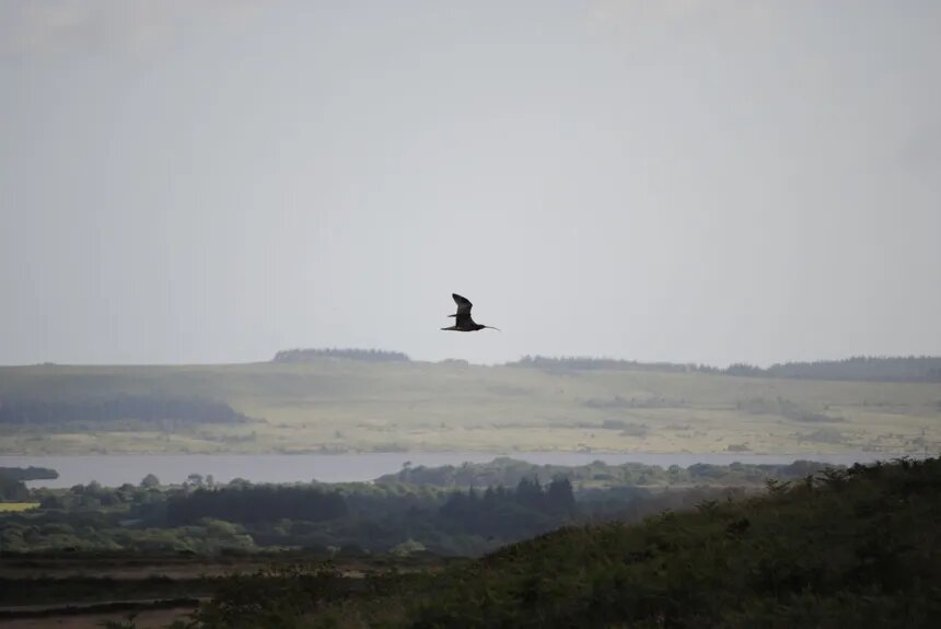 Denis Cheissoux tweet media