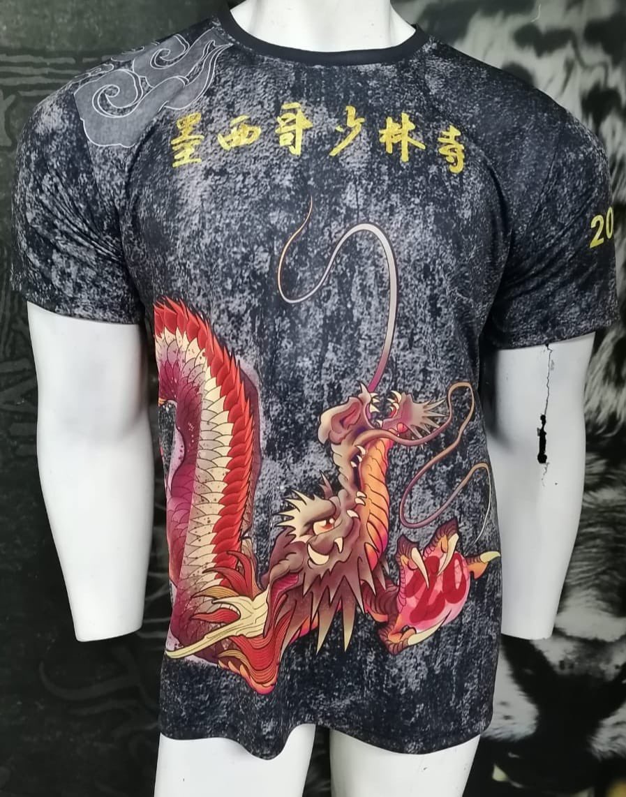 Templo ShaolinMexico tweet media