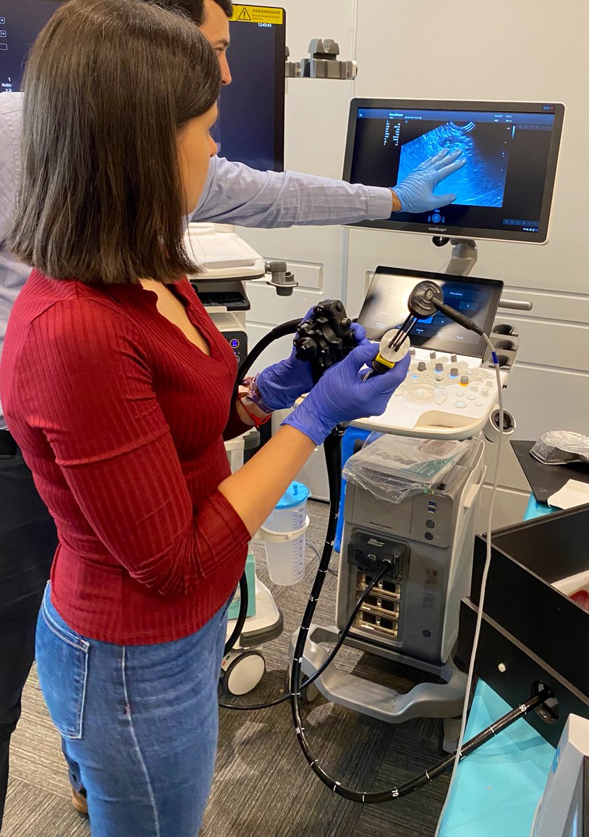 GloriaLeon12's tweet image. Agradecida de haber asistido al 1º curso de residentes teórico-práctico de la #AESPANC #NPC2024 para el dco y tto de enf pancreáticas
Ha sido una oportunidad de compartir y conocer la experiencia de profesionales de diferentes hospitales a nivel nacional