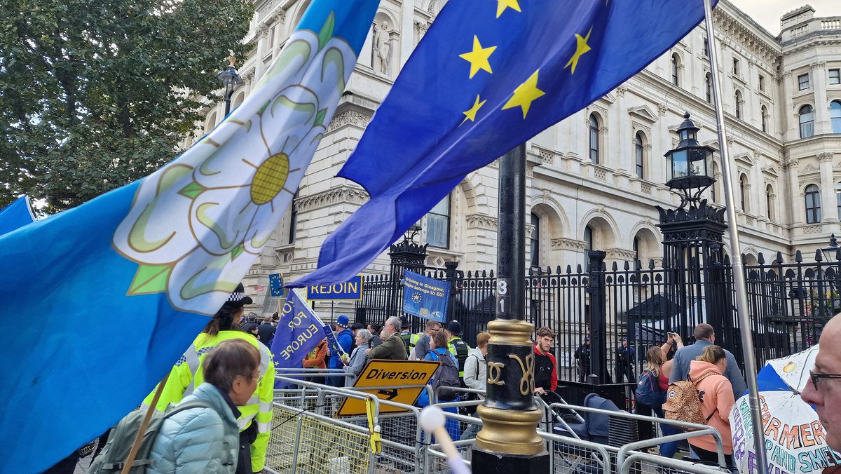 Bollocks to Brexit! #RejoinMarch