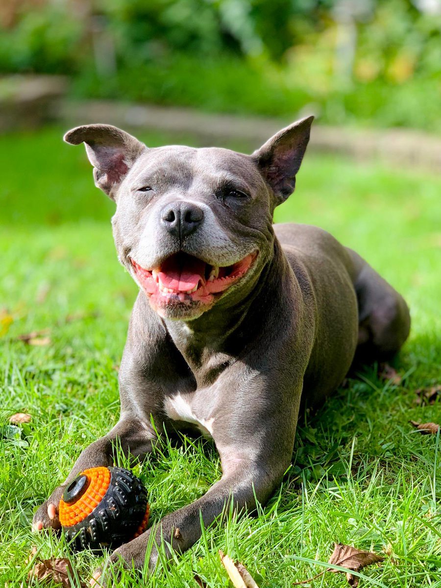 Isa"s Nanny tweet media