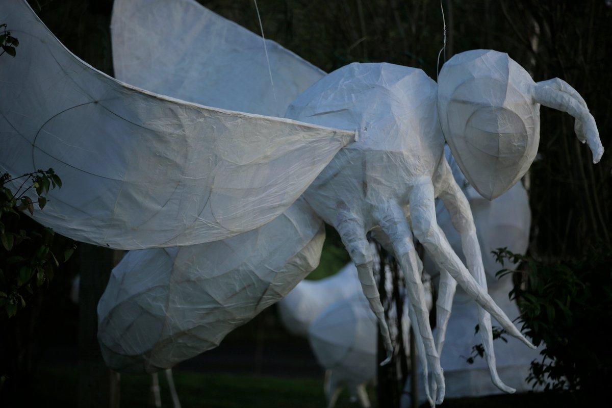 TCArts24's tweet image. Light Up Mac Uíllíam Festival opened last night with the magical &apos;Enchanted Forest&apos;. The festival continues tonight with &apos;Promenade&apos; at 6:30pm and is kindly supported by the Arts Council of Ireland, SDCC Arts Office and Creative Ireland South Dublin. Photographer: Colm Hogan.