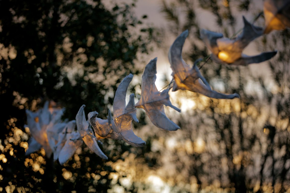 TCArts24's tweet image. Light Up Mac Uíllíam Festival opened last night with the magical &apos;Enchanted Forest&apos;. The festival continues tonight with &apos;Promenade&apos; at 6:30pm and is kindly supported by the Arts Council of Ireland, SDCC Arts Office and Creative Ireland South Dublin. Photographer: Colm Hogan.