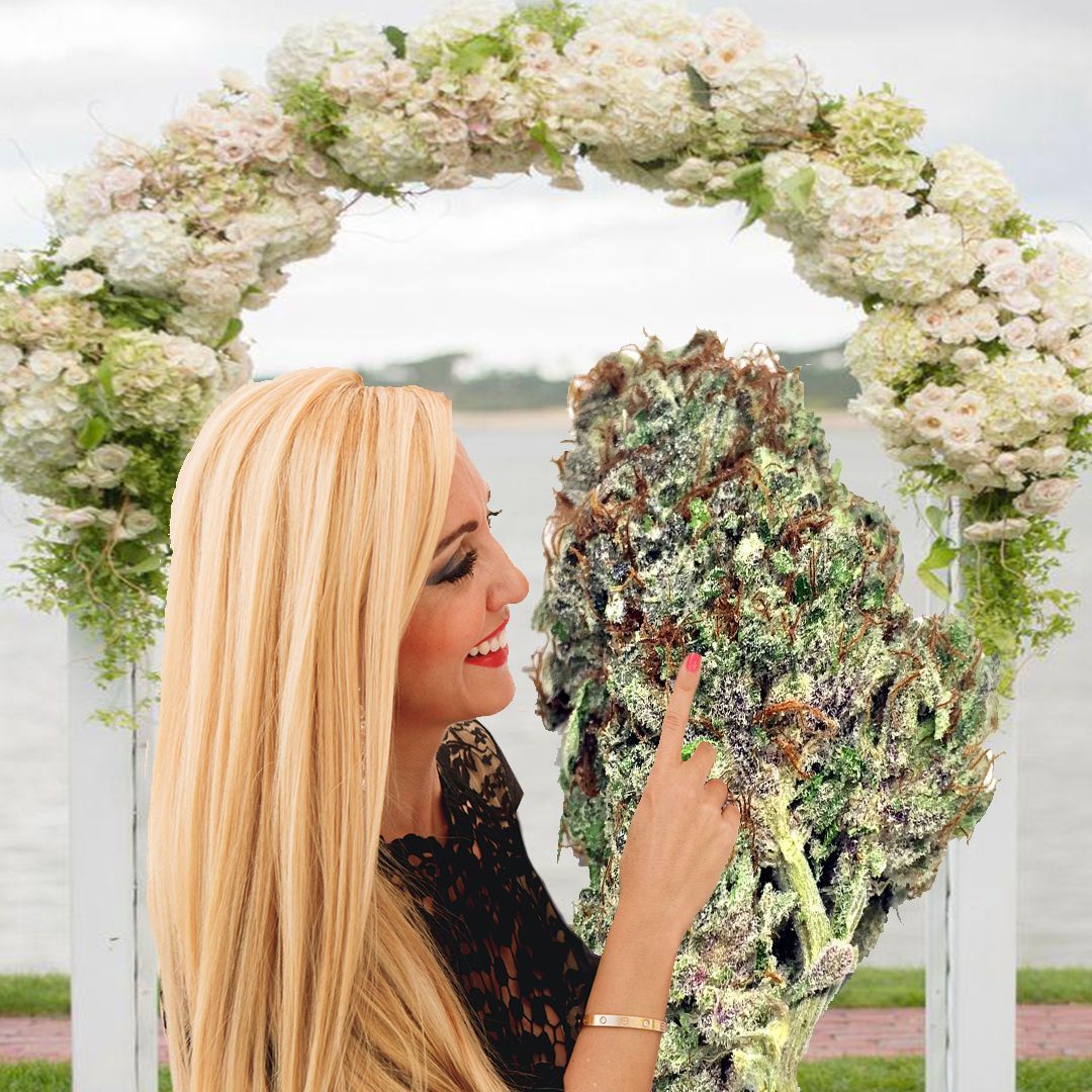 Are you dating anyone?

Me: