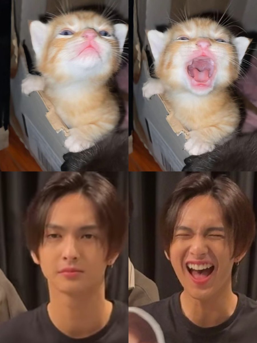vanillasora's tweet photo. ห้ามใครขัดใจเด็ดขาด https://t.co/ZXh0D1aiXU