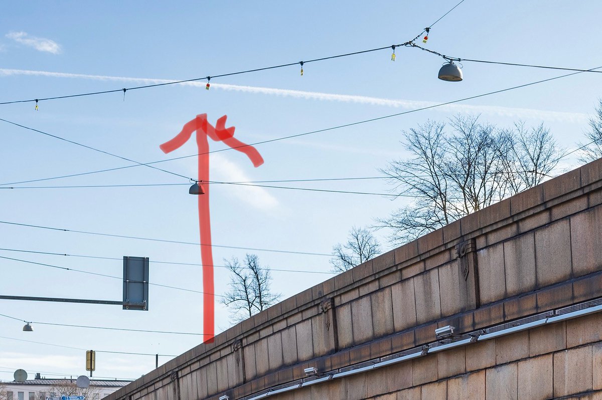 Catharina Candolin tweet media