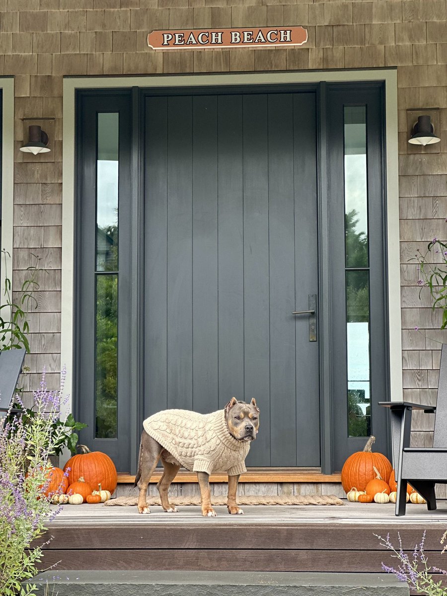 Happy fall everybody from Miss Peaches!