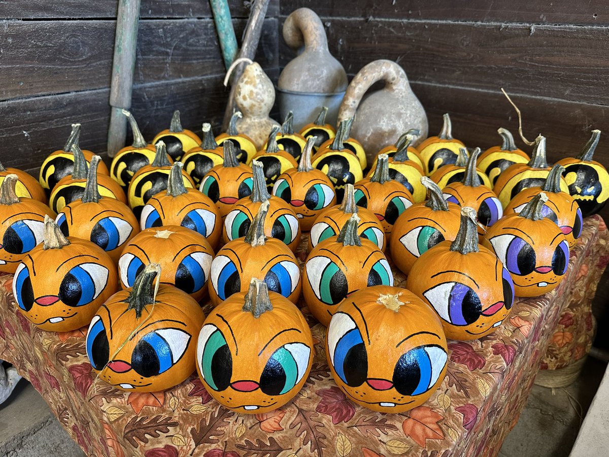 aratafarm's tweet photo. The hand painted pumpkins have arrived! #aratas #arataspumpkinfarm #pumokin #fall #halloween #Halloween2024 #handpainted https://t.co/0R4reg7wTn