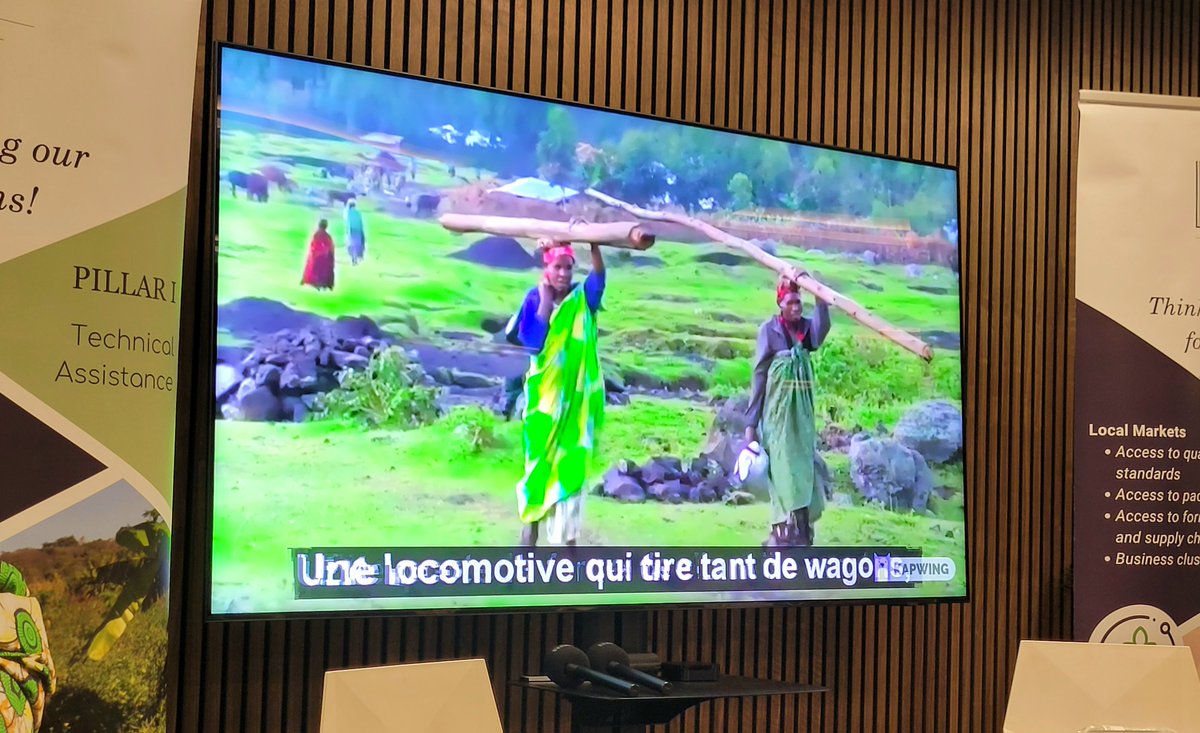 Shelley Ann Quilty tweet media