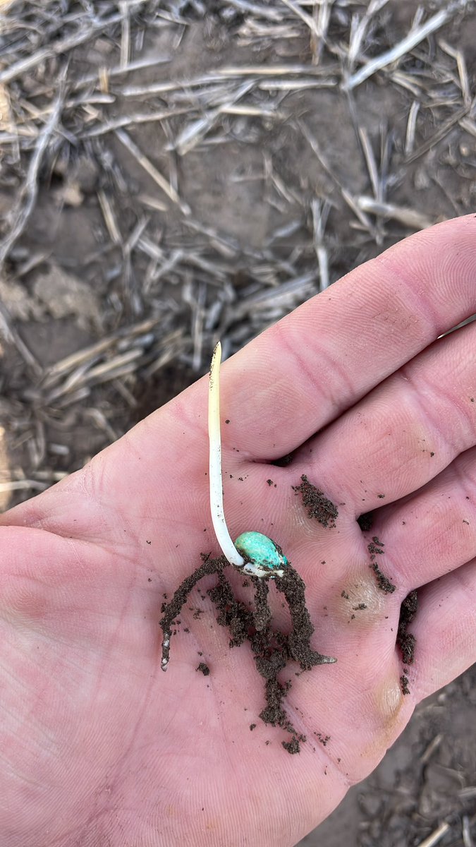 elchamaco_1's tweet image. Recorrida de sábado mañanero en #LaMaria