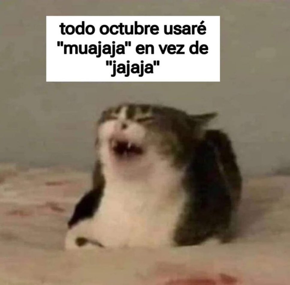 MexicoMagico's tweet photo. https://t.co/Gtf7S0dPHW