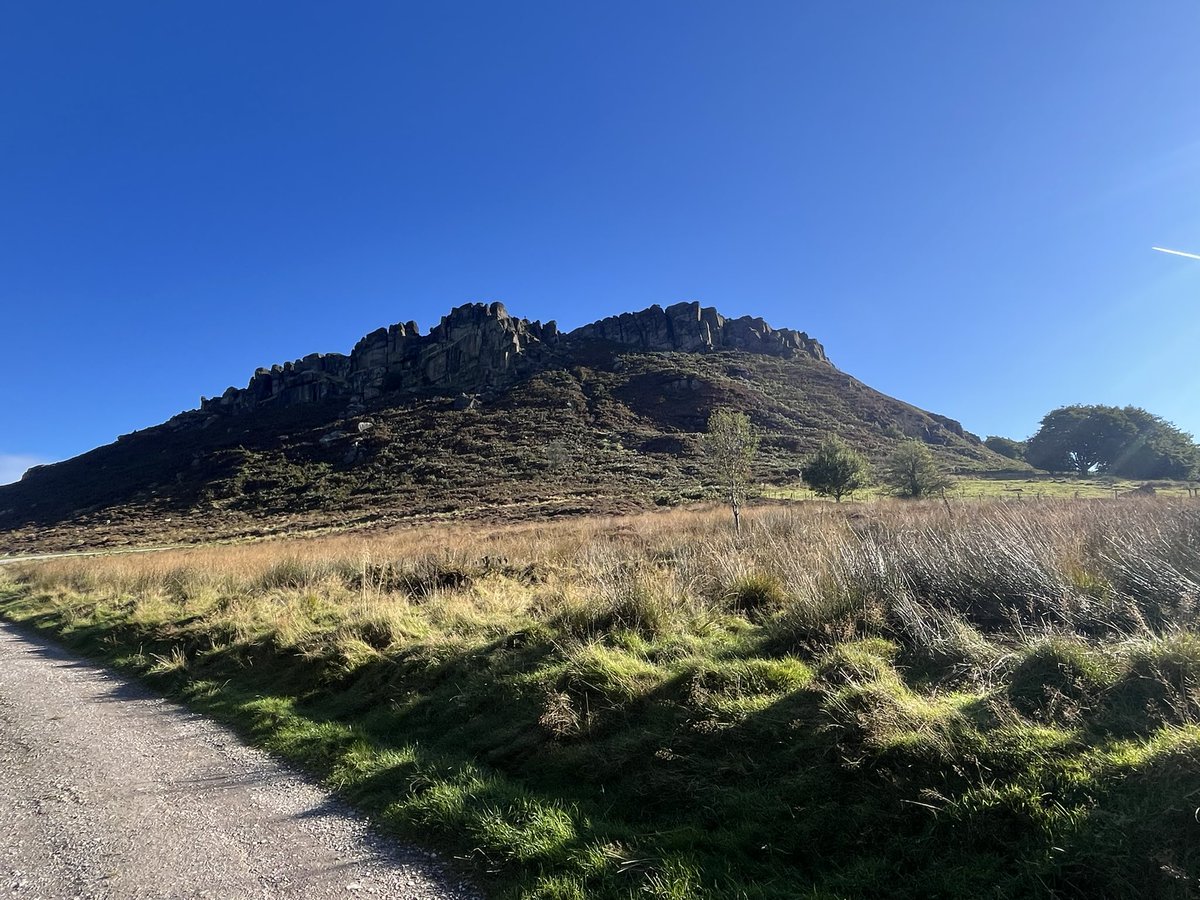 Ross Wilson tweet media