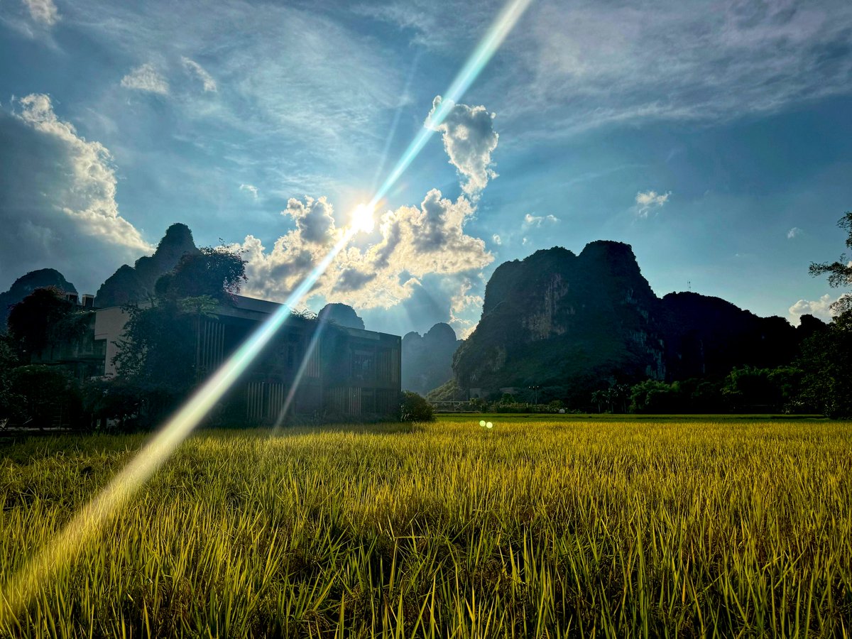 BIN哥的₿圈剧本｜BIN哥社区 tweet media