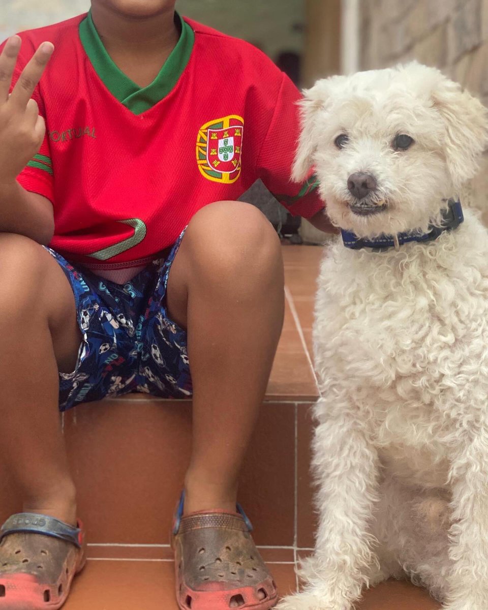 ayudemosapluto's tweet photo. Today is Saturday and we are happy to share this beautiful news with you♥️🥹.
#DonRamonAp and #TobyAp were happily adopted by beautiful families who love them, care for them and care for them as we do🐶😍. https://t.co/d2hUaRVNtw